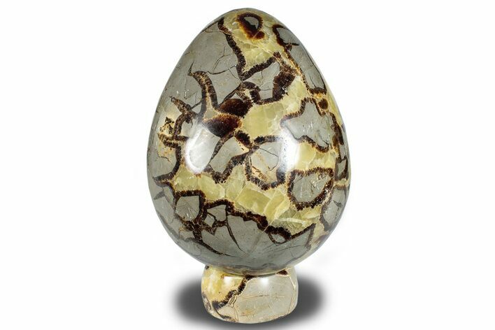 Polished Septarian Egg with Stand - Madagascar #286070